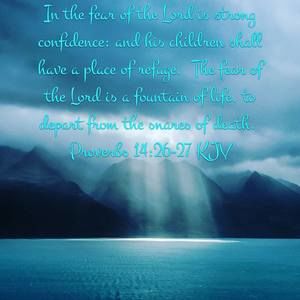 Meet your Posher, Joe